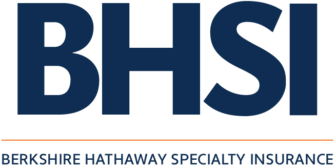 BHSI Logo -2024