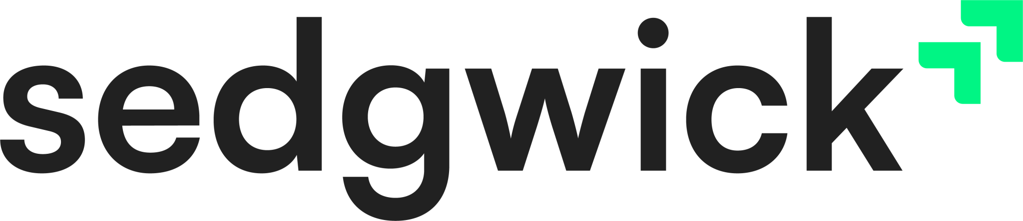 2025-SEDG_Rebrand_LogoRGB_Primary-2048x444